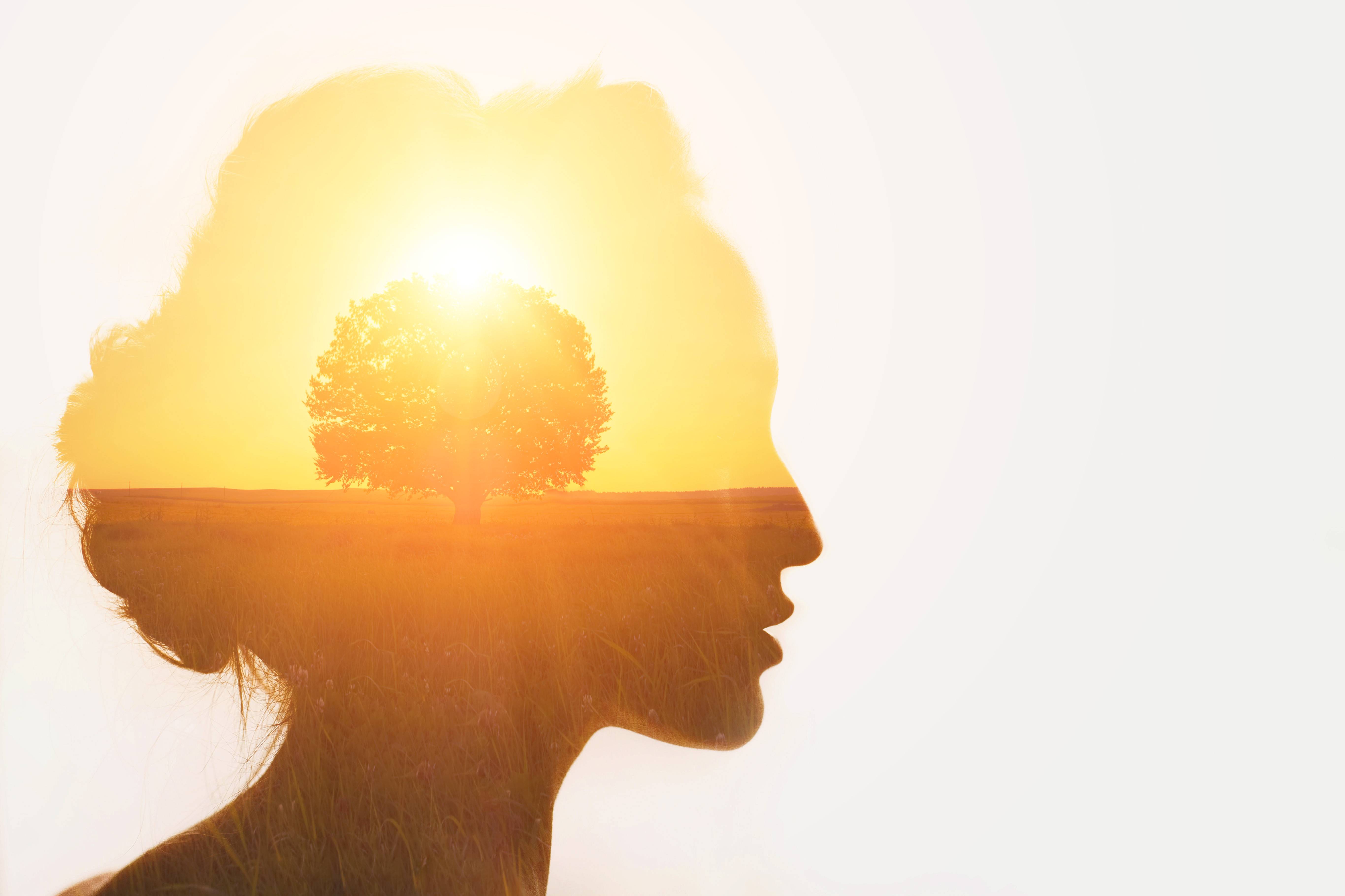 The Evolution and Future of Green Jobs | Talentra